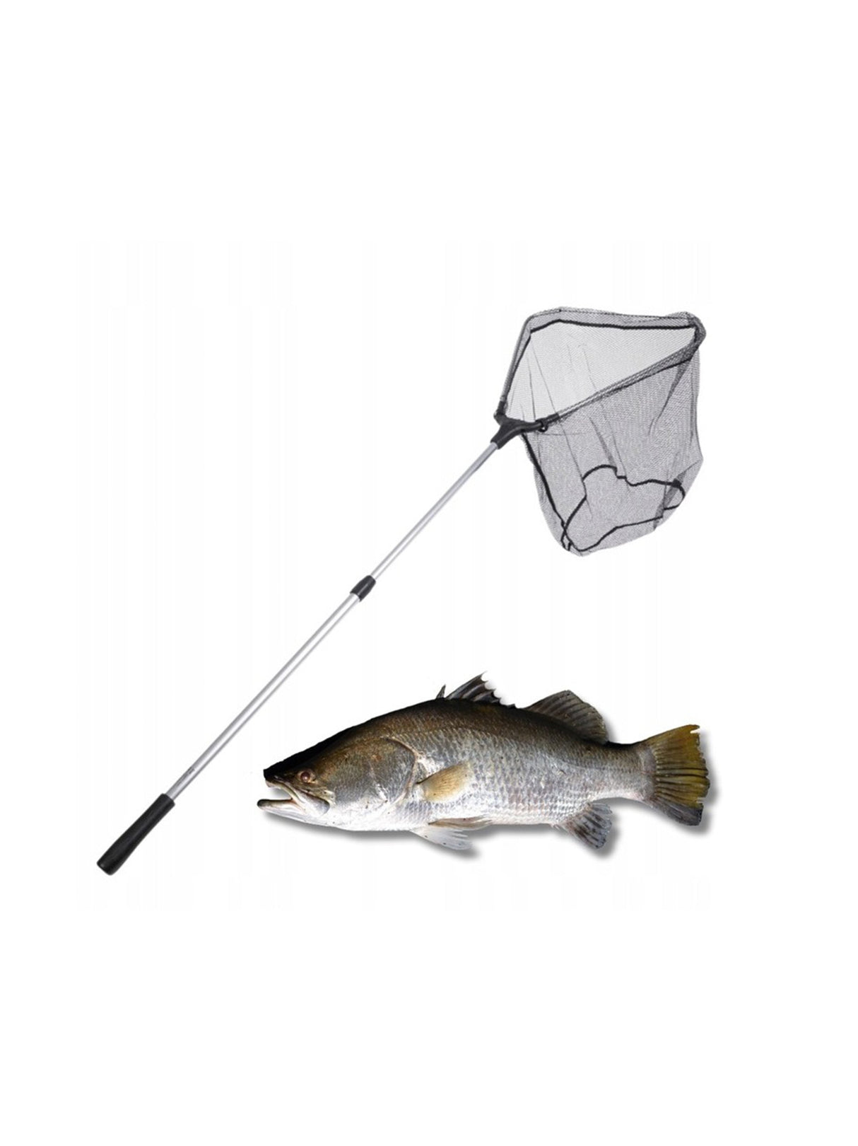 Image for Landing Net