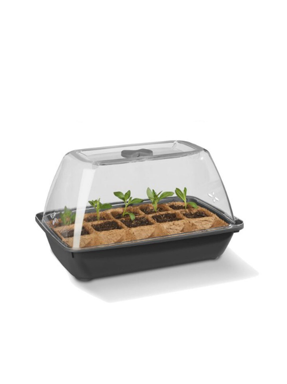 Image for Vegetable Propagator Set
