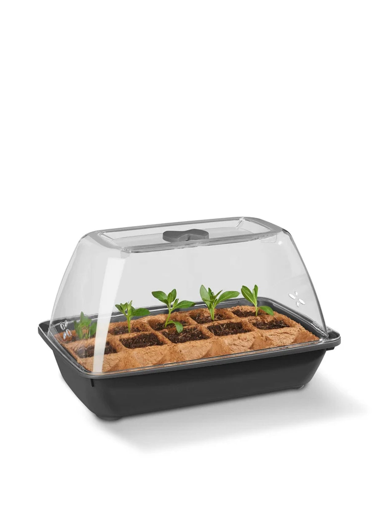 Image for Herb Propagator Set