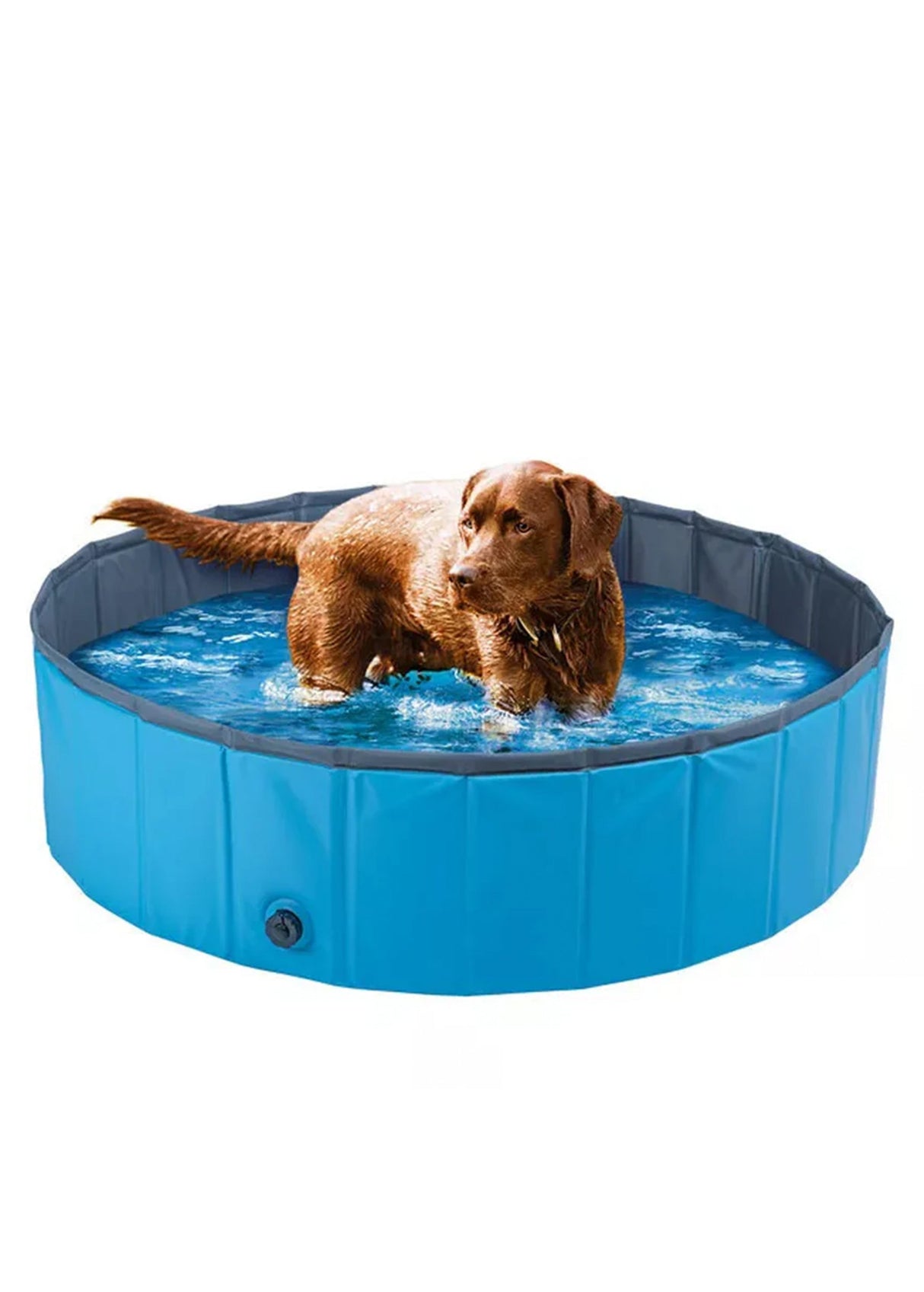 Image for Dog Pool