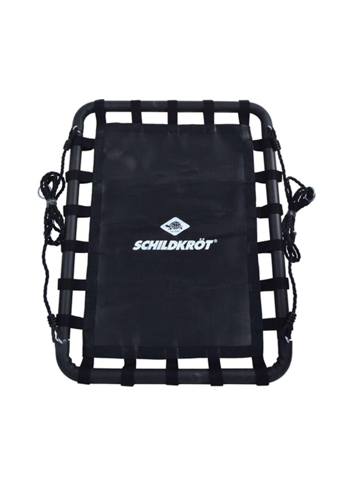 Image for Nest Swing