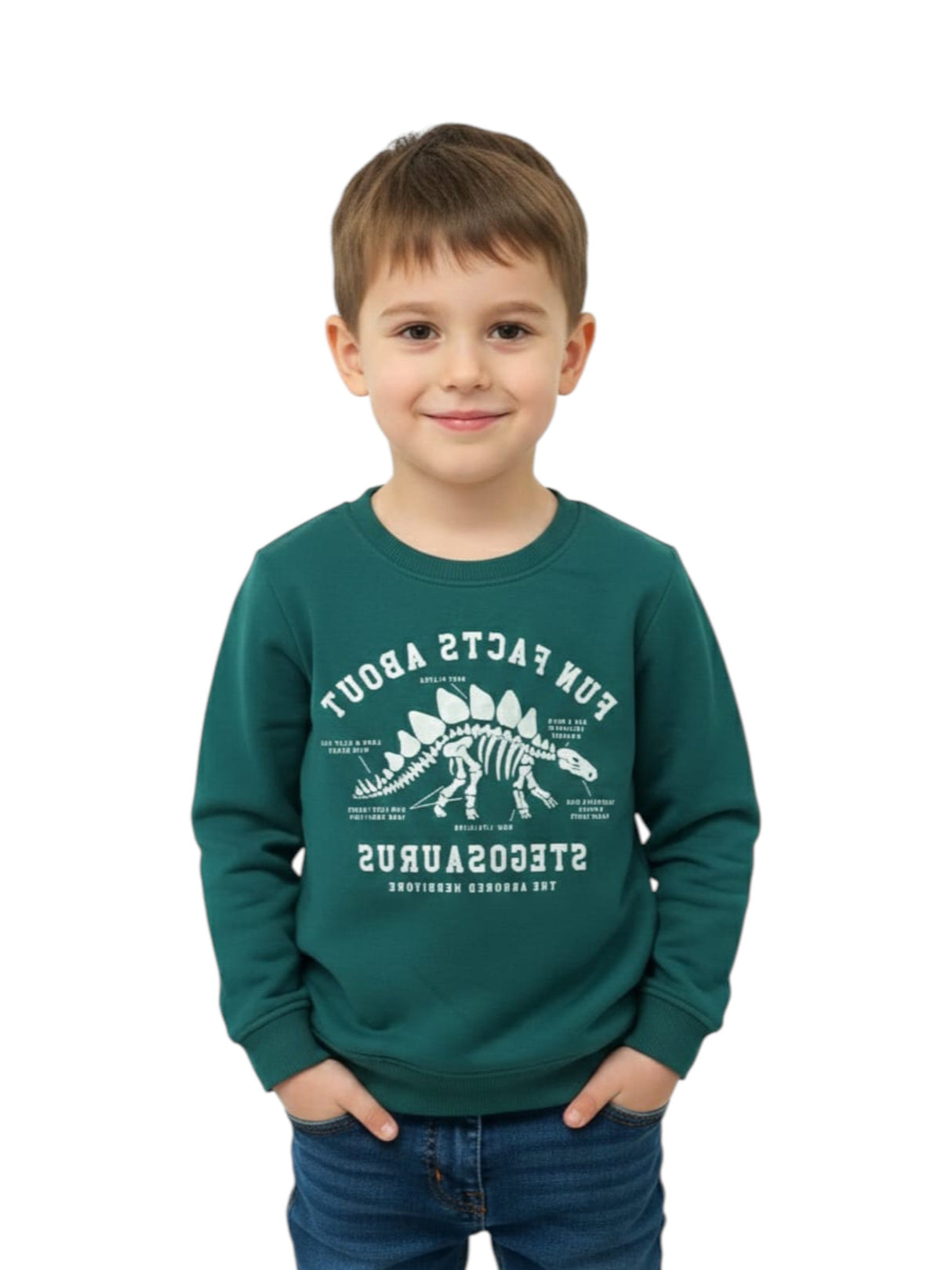 Image for Kids Boy's Graphic Printed Sweaters,Green