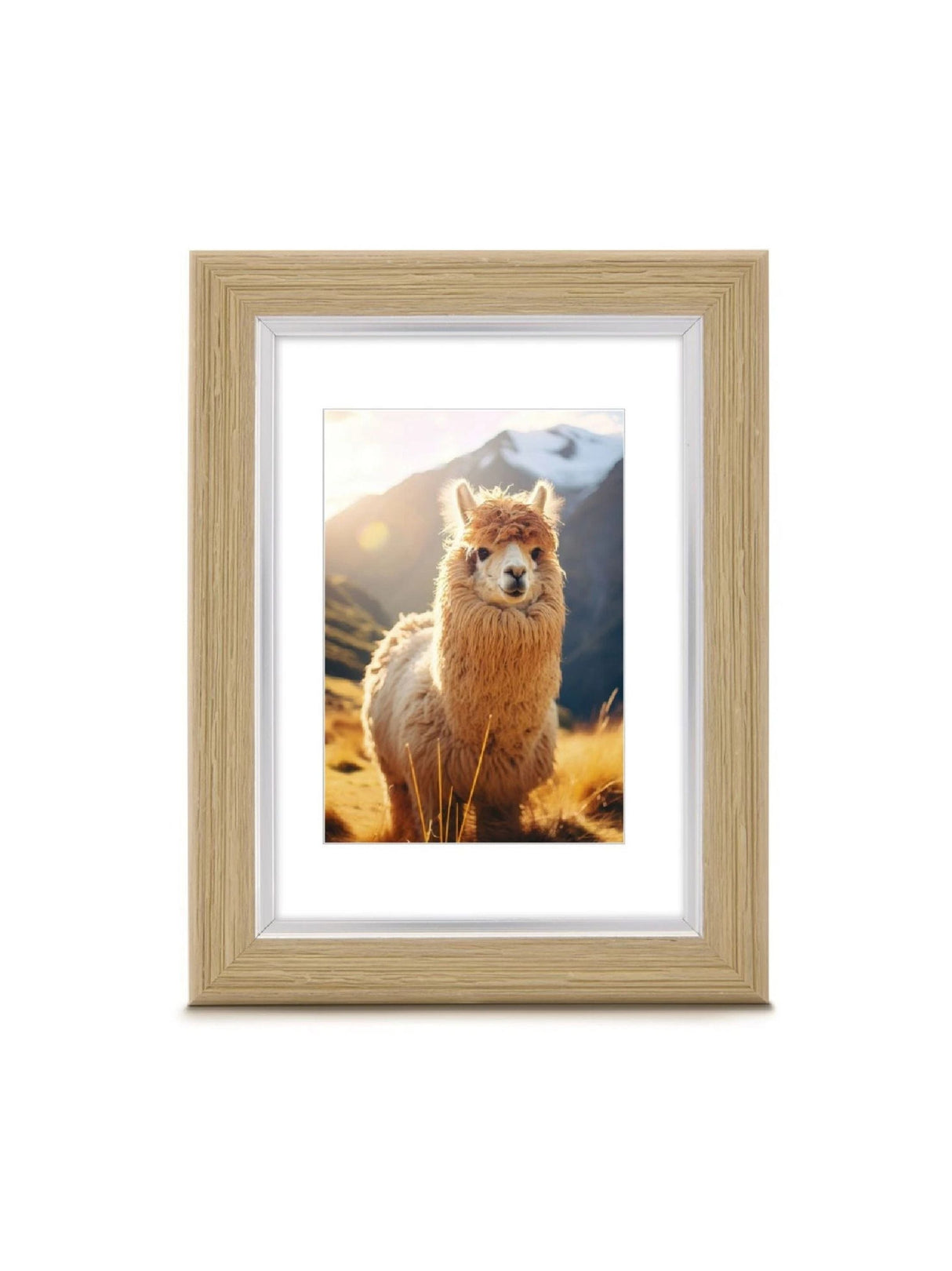 Image for Plastic Frame Lima Oak