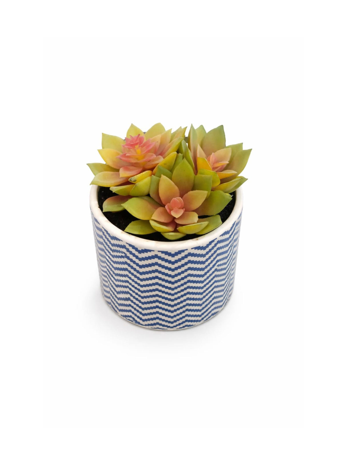 Image for Decorative Ceramic Pot