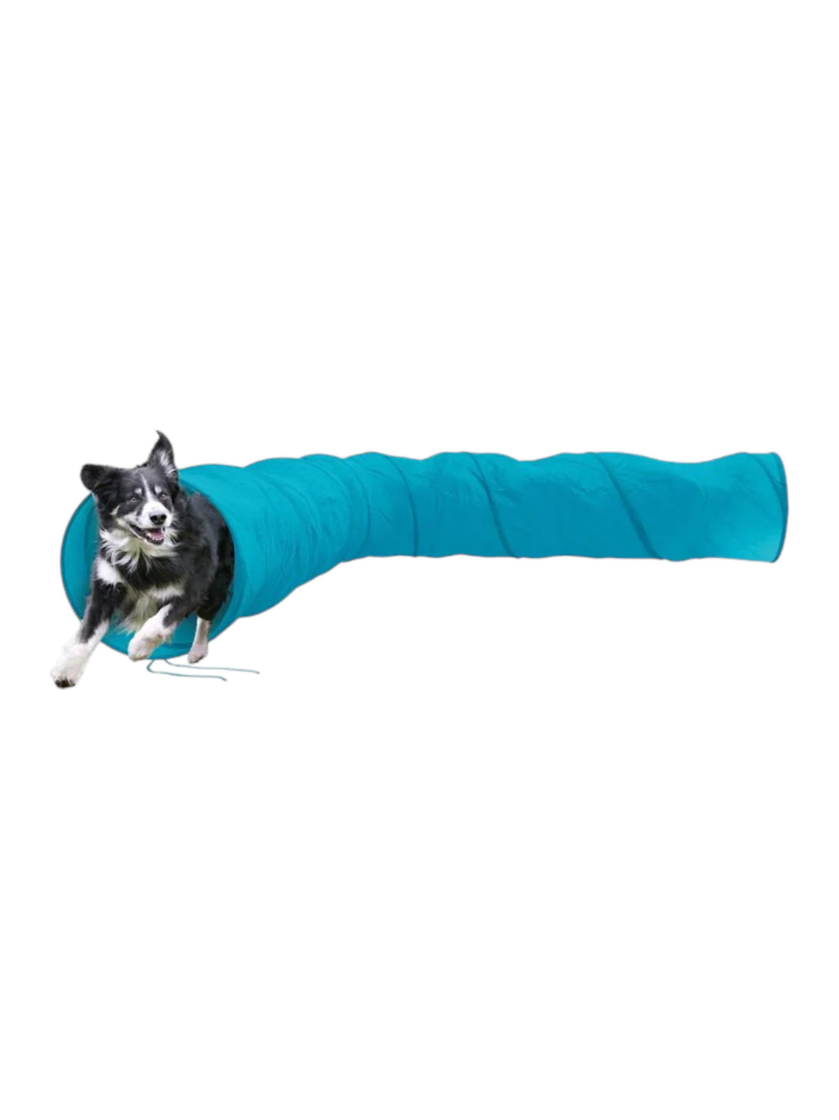 Image for Agility Tunnel