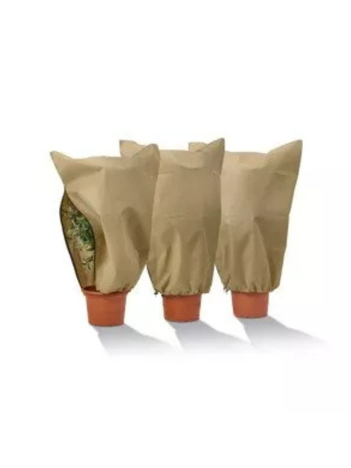 Image for Non-Woven Plant Protection Cover