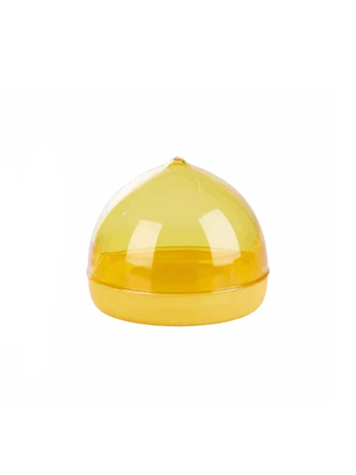 Image for Lemon Container
