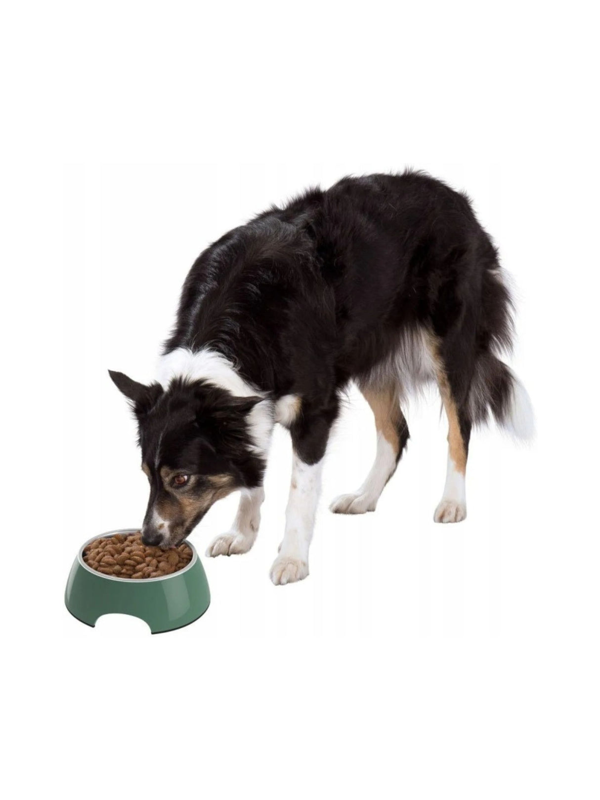 Image for Pet Bowl