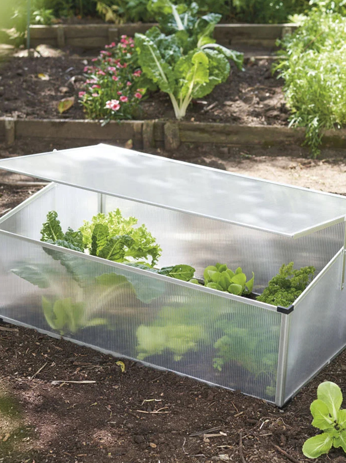Mini Garden Greenhouse