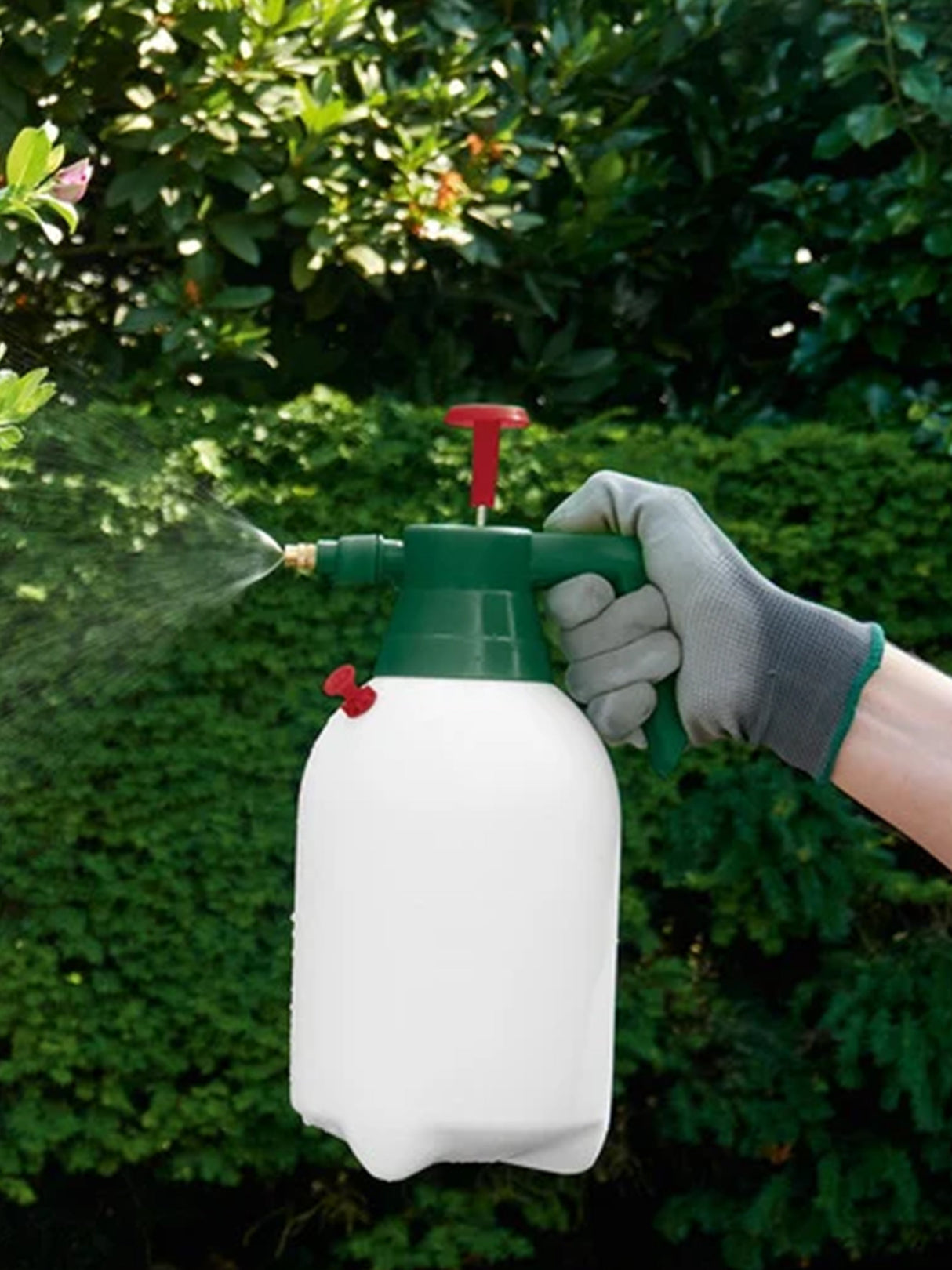 Pressure Sprayer
