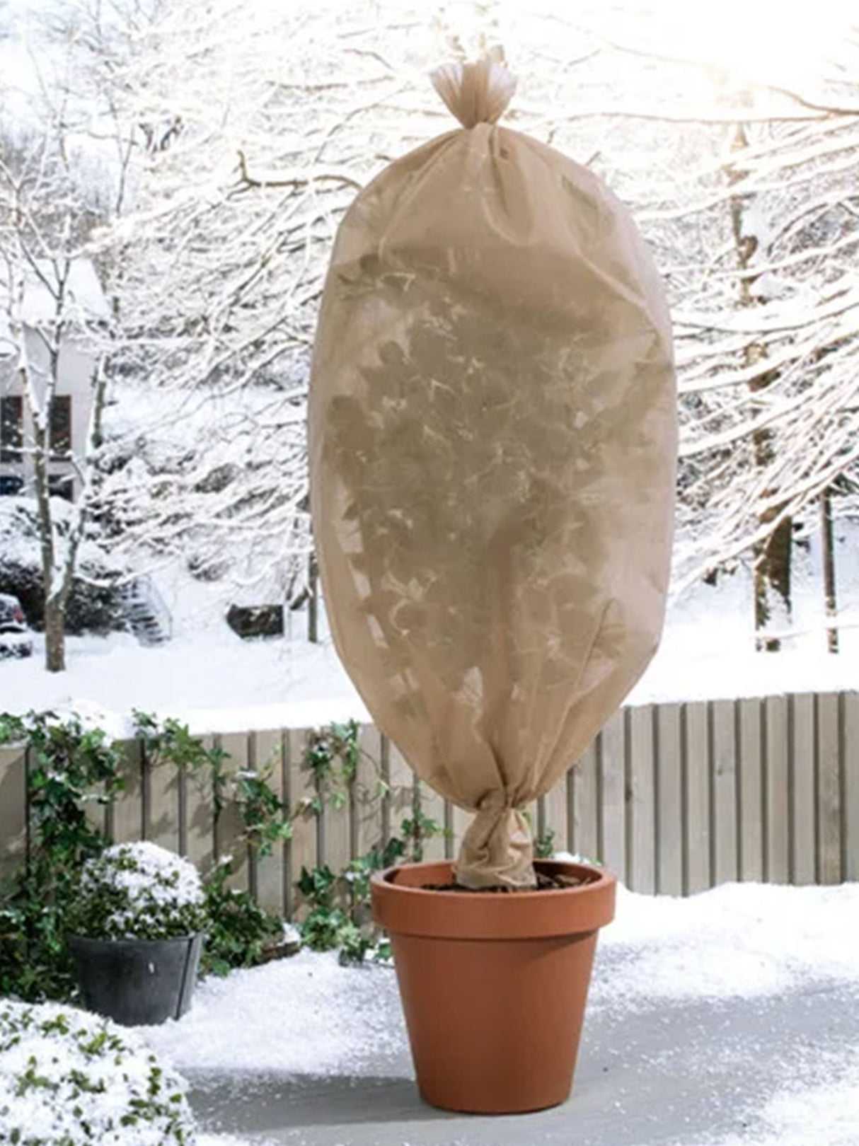 Plant Protection Fabric