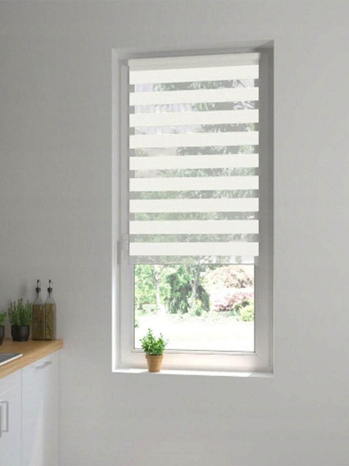 Window Blind