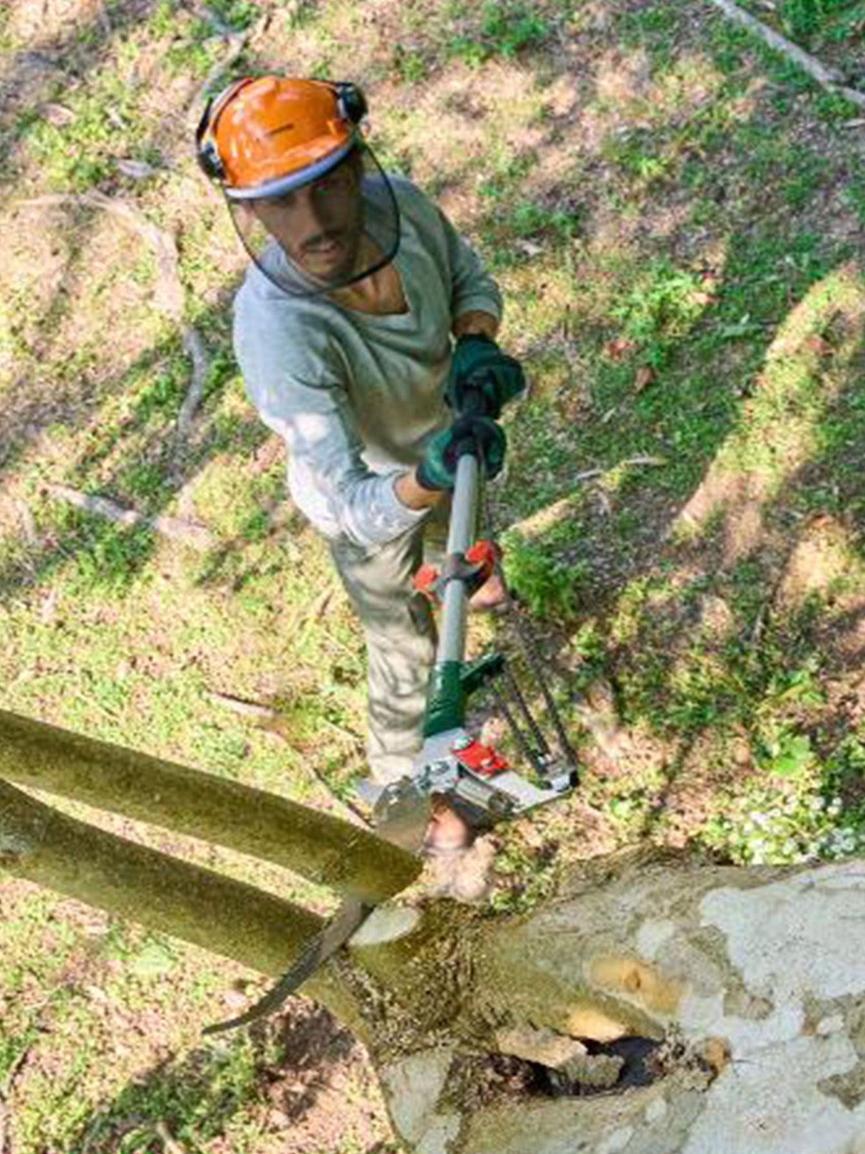 Telescopic Loppers With Saw