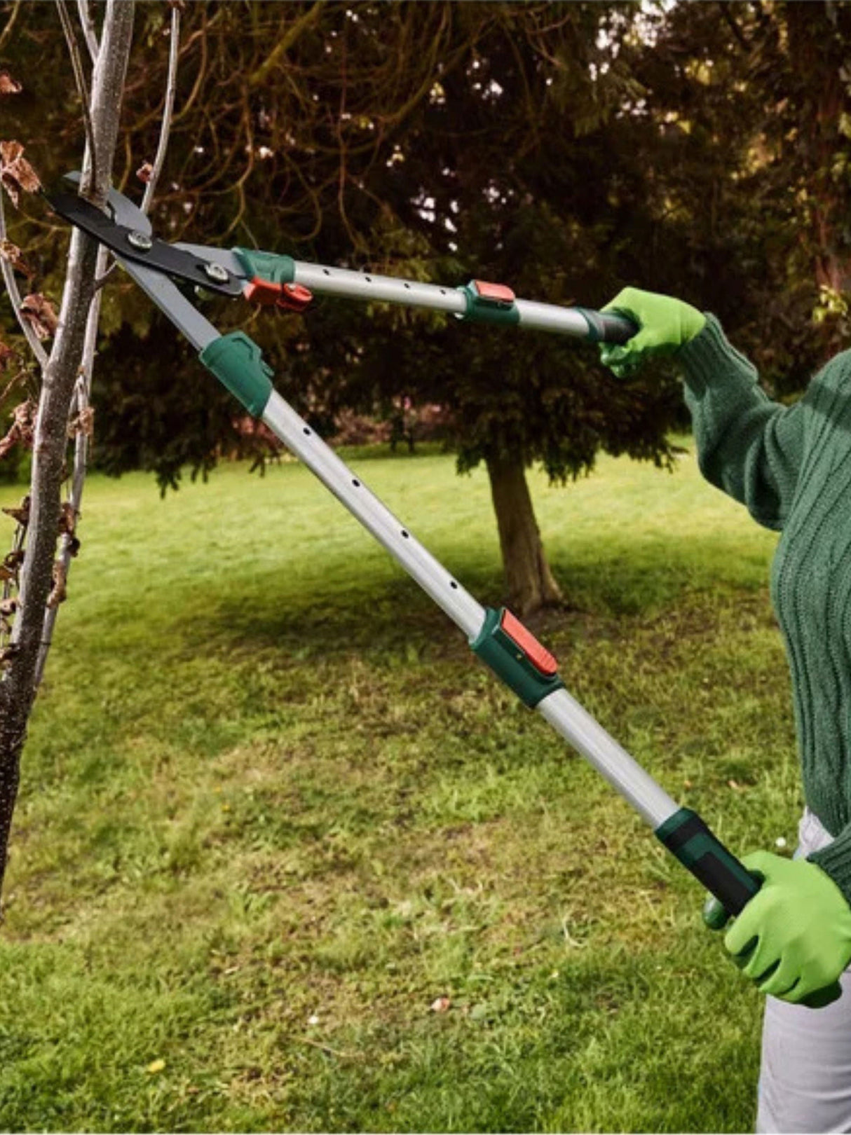 Telescopic Pruner