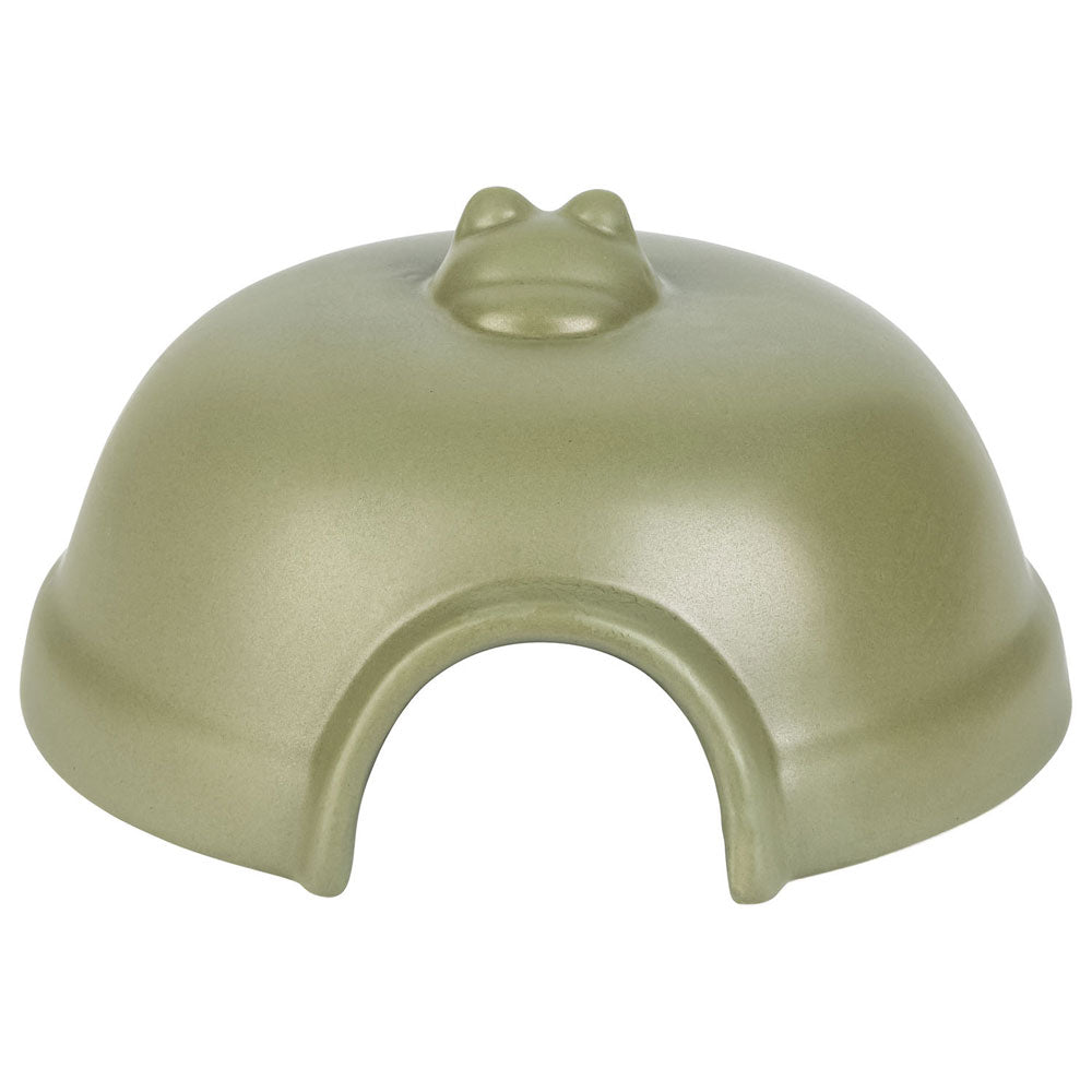 Image for Frog Watering House