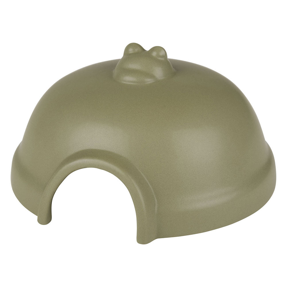 Frog Watering House