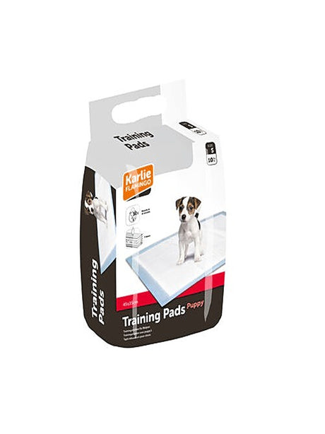 Image for Puppy Pads Training Matte 35X45 Cm