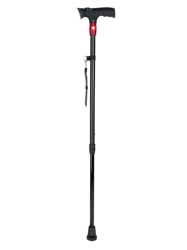 Image for Walking Stick