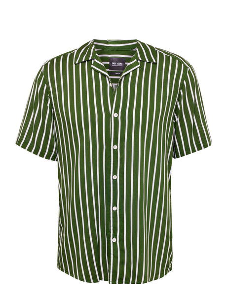 Image for Men's Striped Dress Shirt,Green