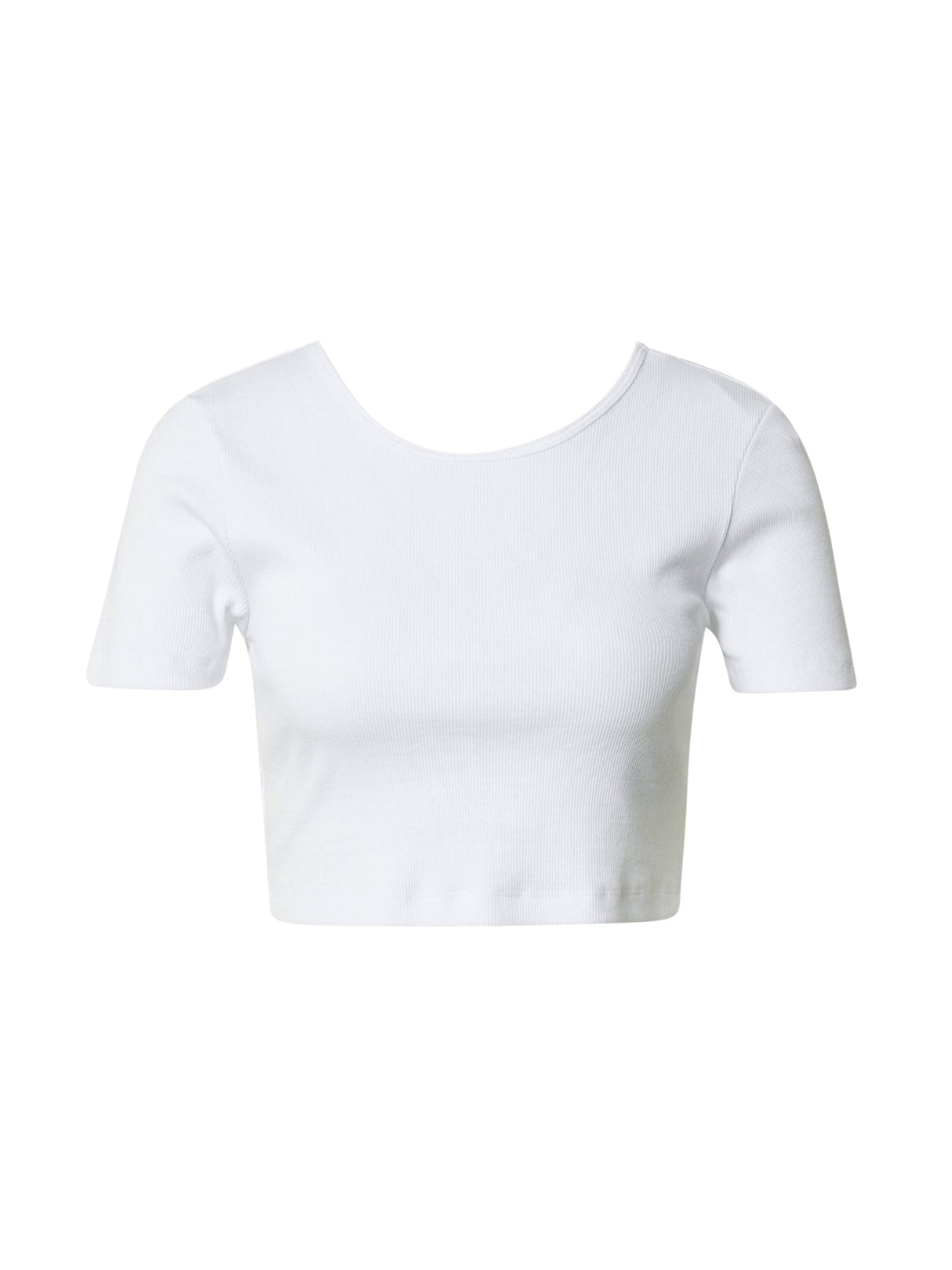 Image for Women's Ribbed Crop Top,White