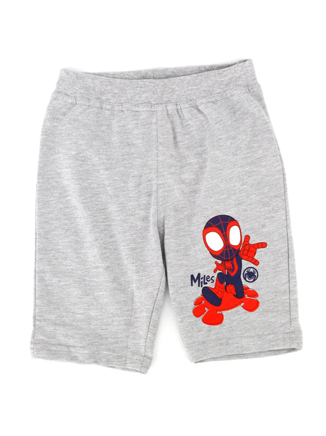 Image for Kids Boy Spiderman Printed Short,Grey