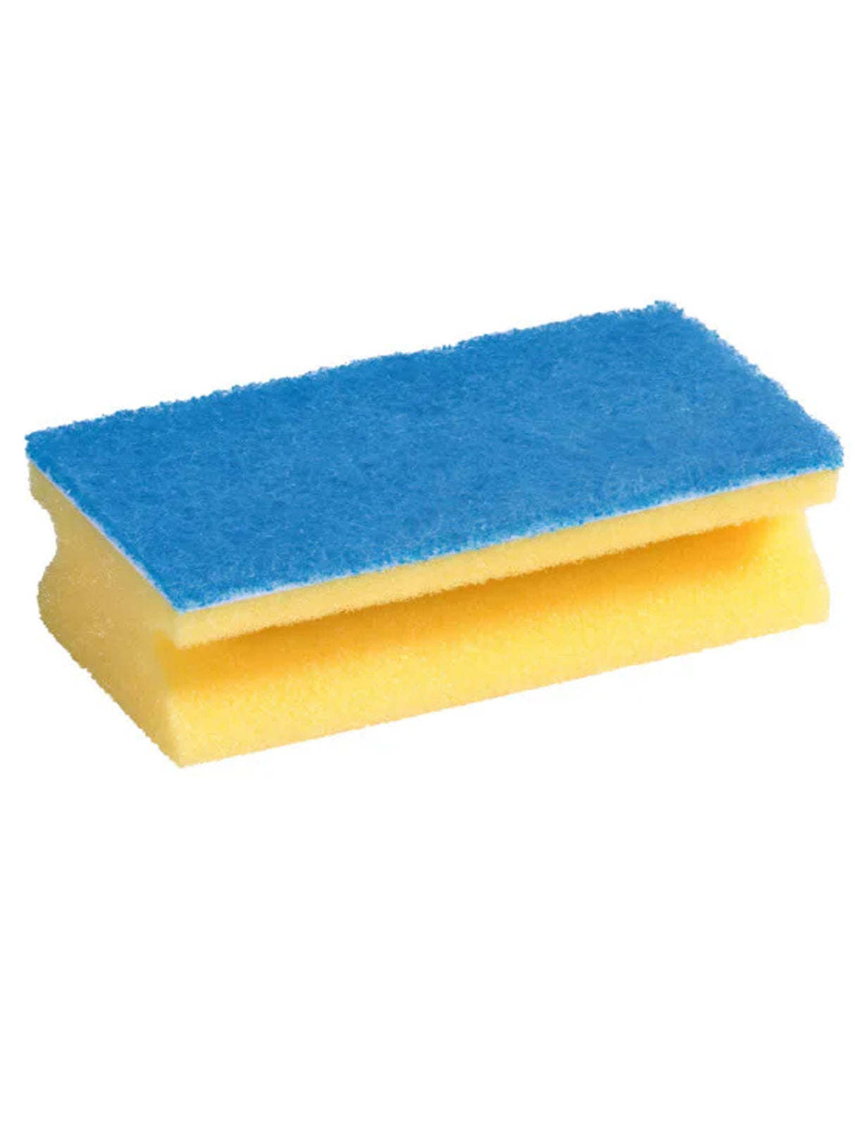 Image for Jumbo Sponge