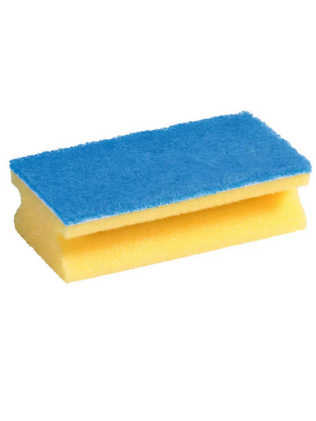 Image for Jumbo Sponge