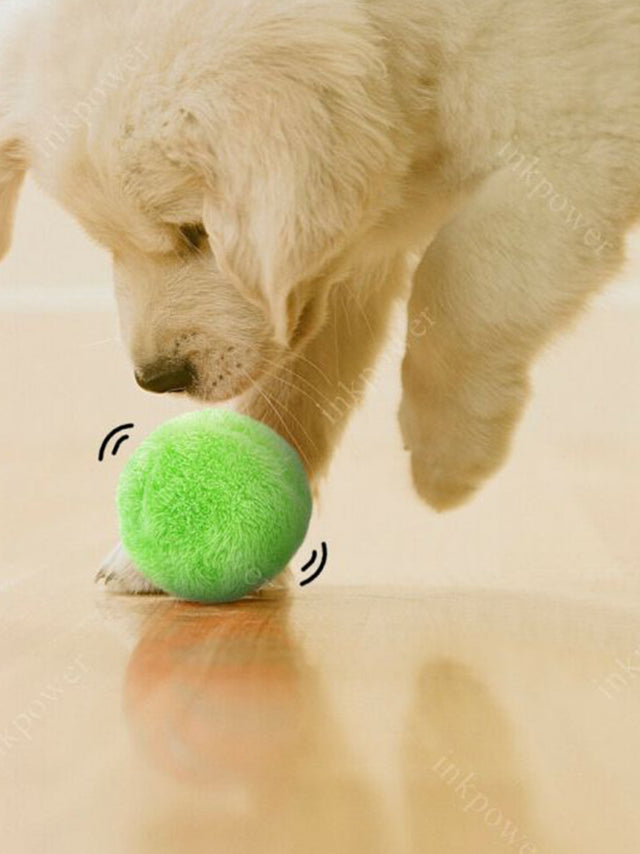 Image for Microfiber Mop Ball/ Pet Toy