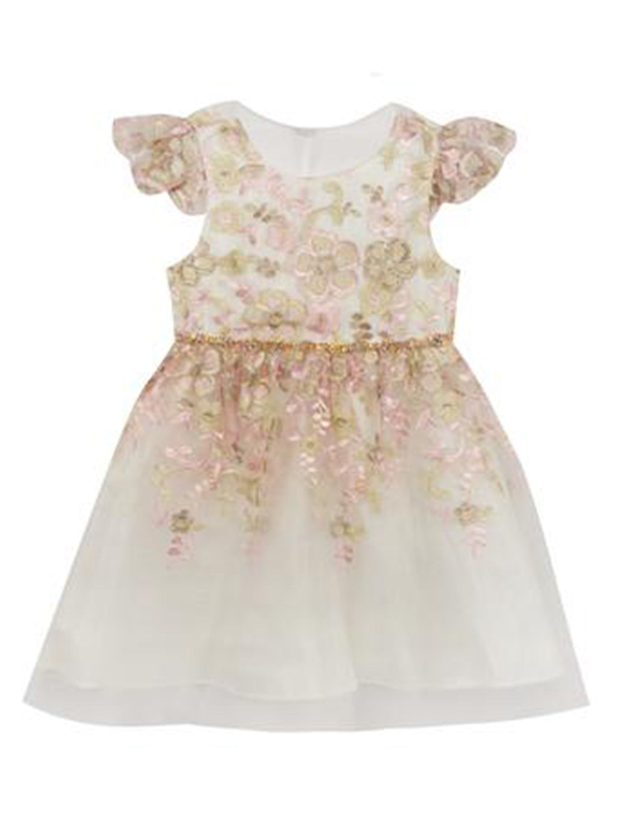 Image for Kids Girl Floral Embroidered Mesh Dress,Multi