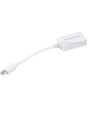 Image for Mini Display Port