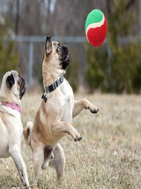 Image for Tennis Ball For Dog