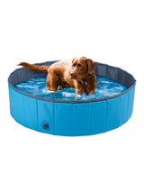 Image for Dog Pool
