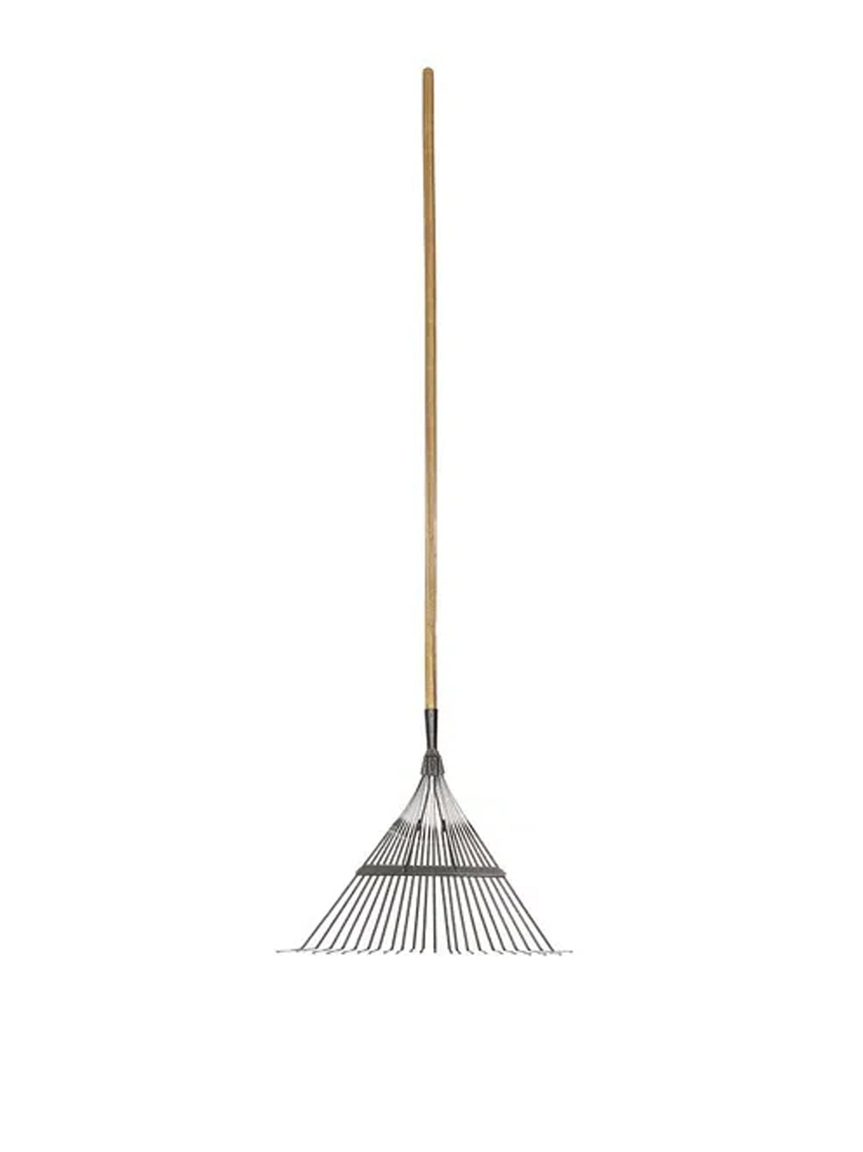 Image for Leave Rake