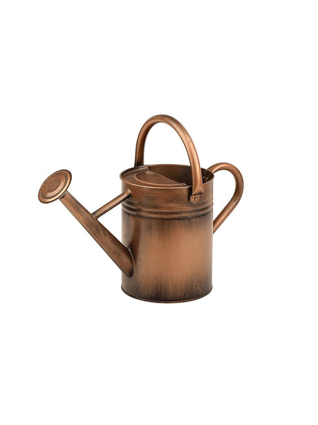 Image for Steel Watering Can