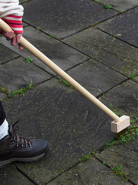Image for Weeding Brush