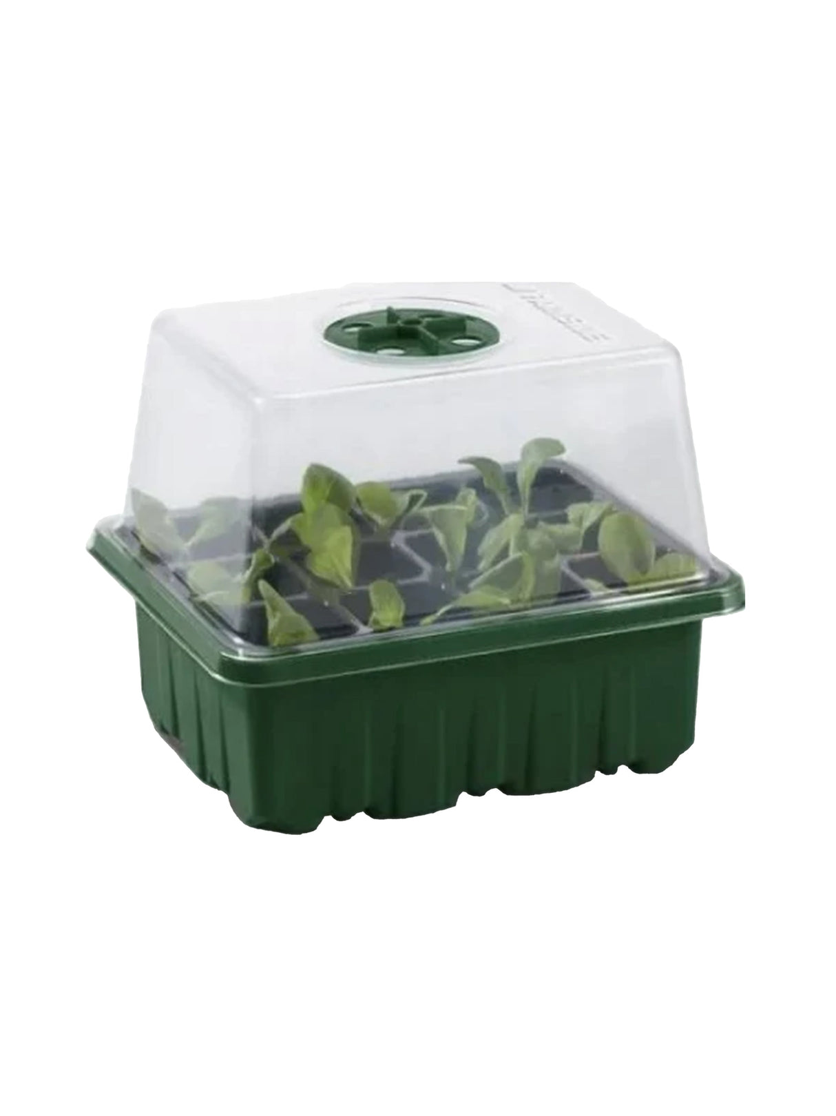 Image for Vegetable Propagator Set