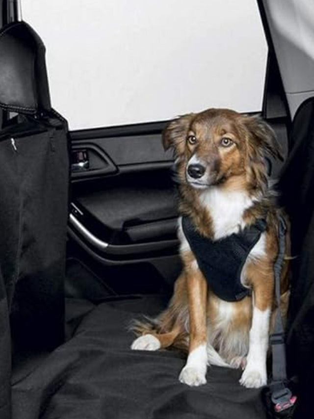 Image for Car Seat Cover