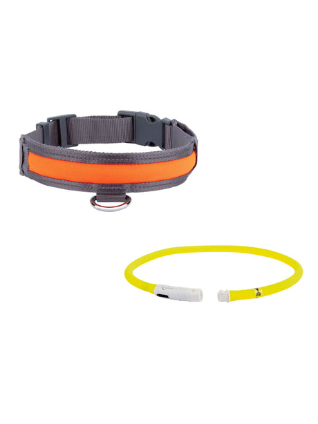Image for Led-Dog Collar