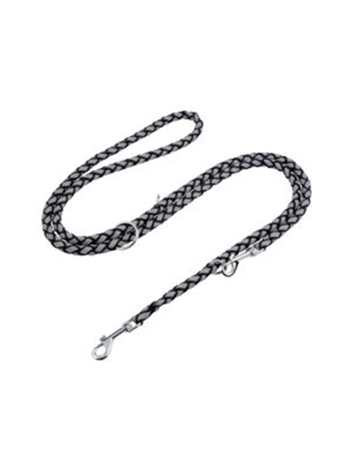Image for Dog Leash