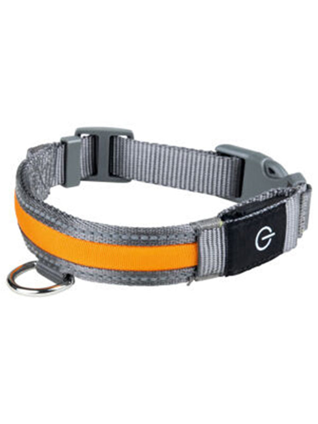 Image for Dog Collar