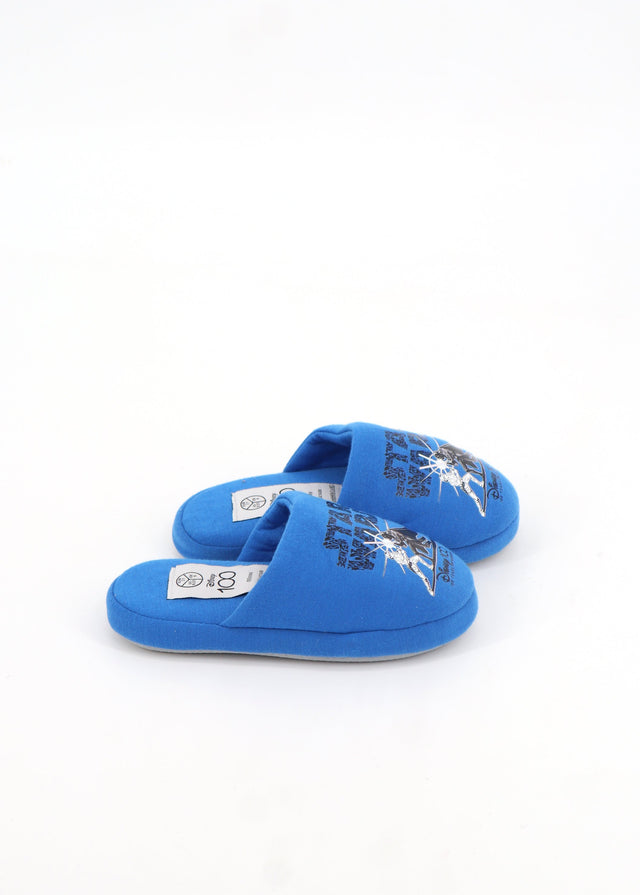 Image for Kids Boy's Graphic Printed Slippers,Blue