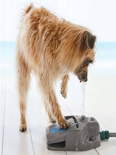 Image for Water Fountain For Dogs