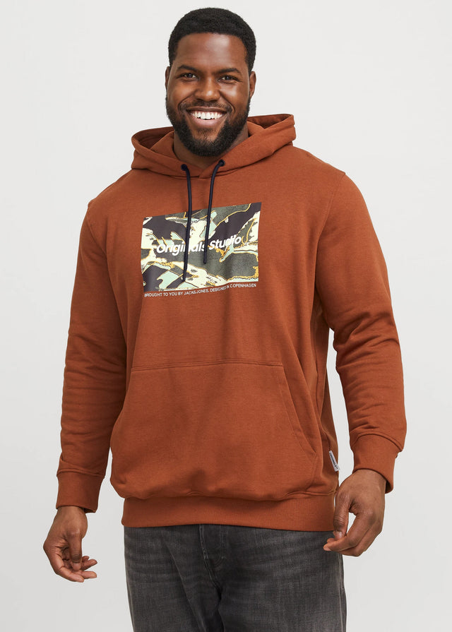 Image for Men's Graphic Printed Hoodie,Brick