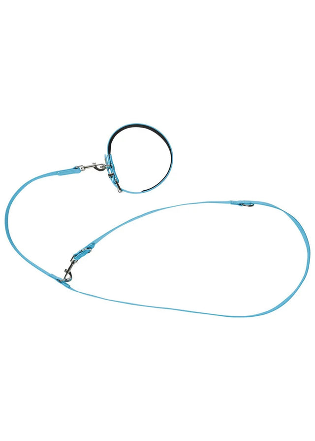 Image for Dog Collar And Leash