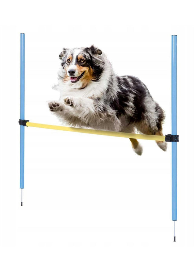 Image for Dog Agility Training Accessories