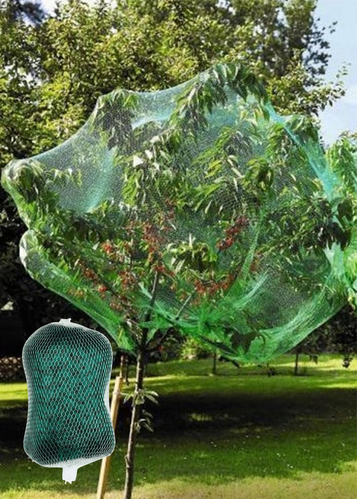 Image for Protective Net