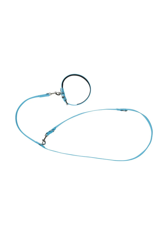 Image for Dog Leash And Collar