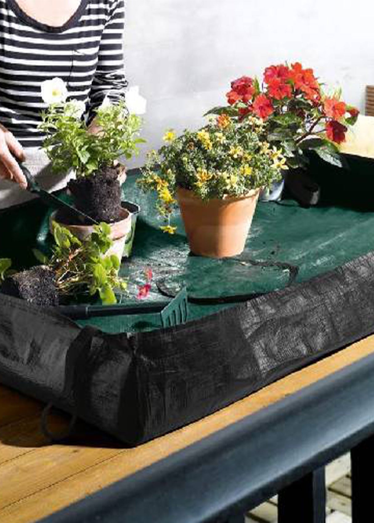 Image for Planting Sheet