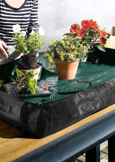 Image for Planting Sheet