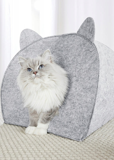 Image for Cat House